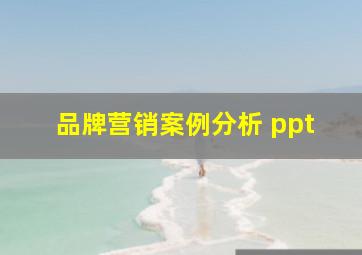 品牌营销案例分析 ppt